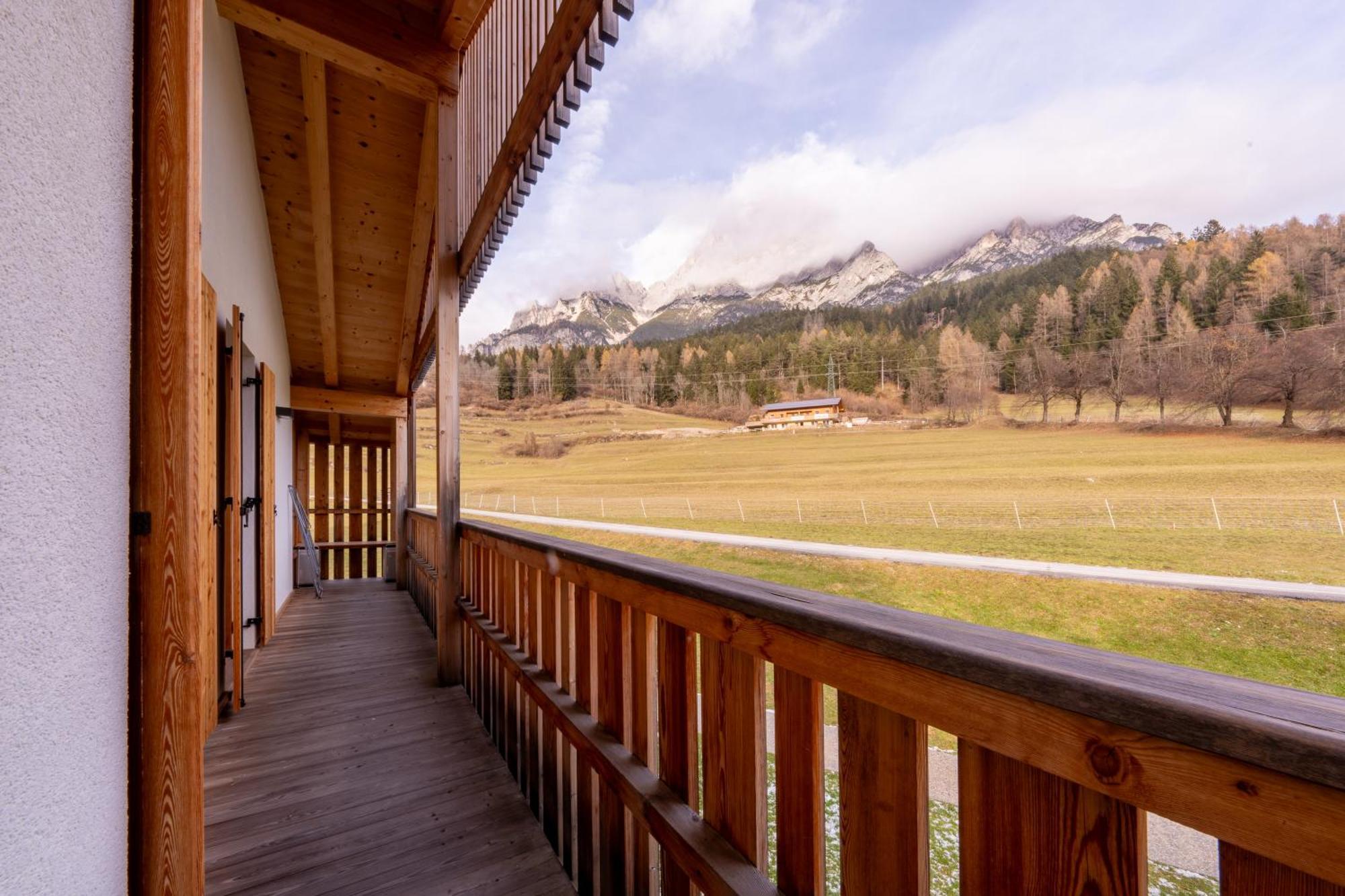 Greenwood Chalet - Spacious Alpine Retreat With Mountain Views Vodo Cadore Eksteriør billede